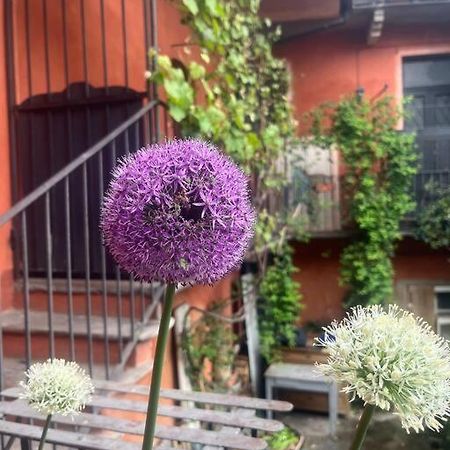 Come A Casa Castelletto sopra Ticino Exterior photo